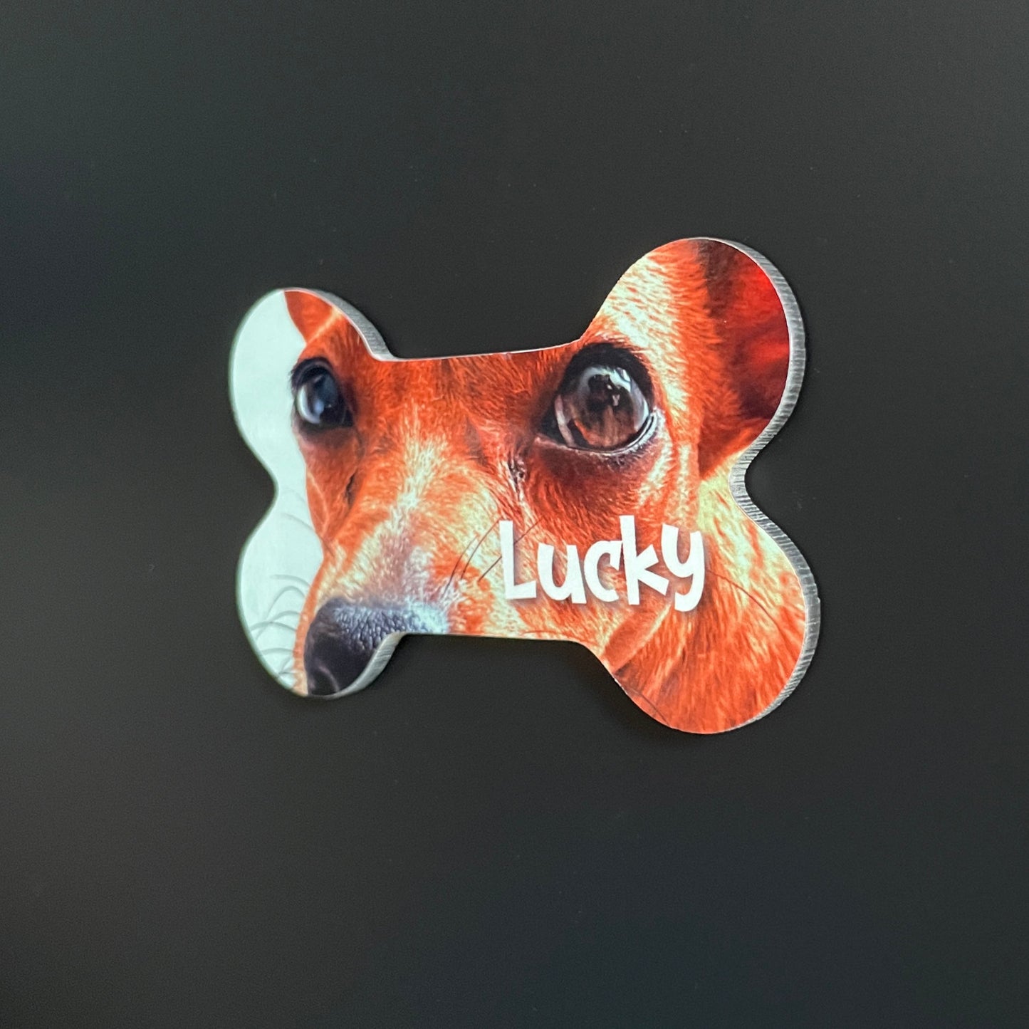 Íman MDF Personalizado com Foto - Cão