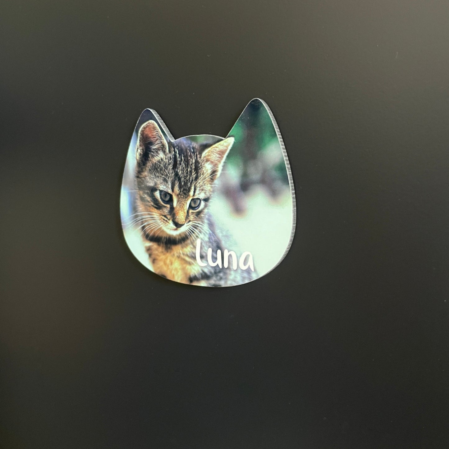 Íman MDF Personalizado com Foto - Gato