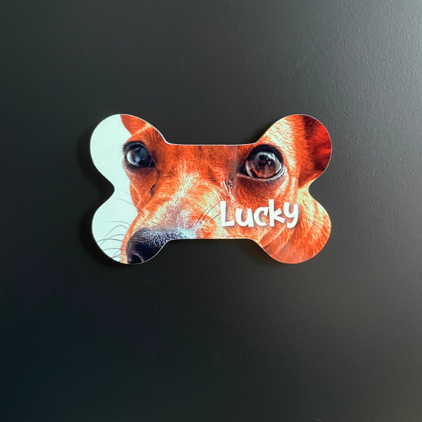 Íman MDF Personalizado com Foto - Cão