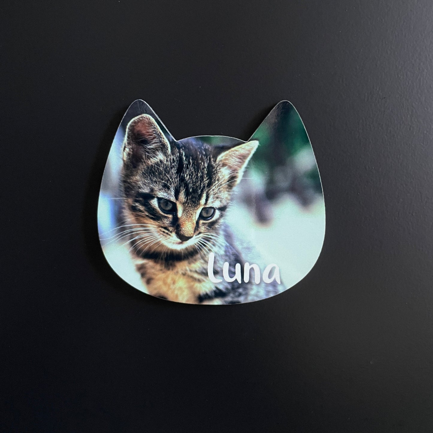 Íman MDF Personalizado com Foto - Gato