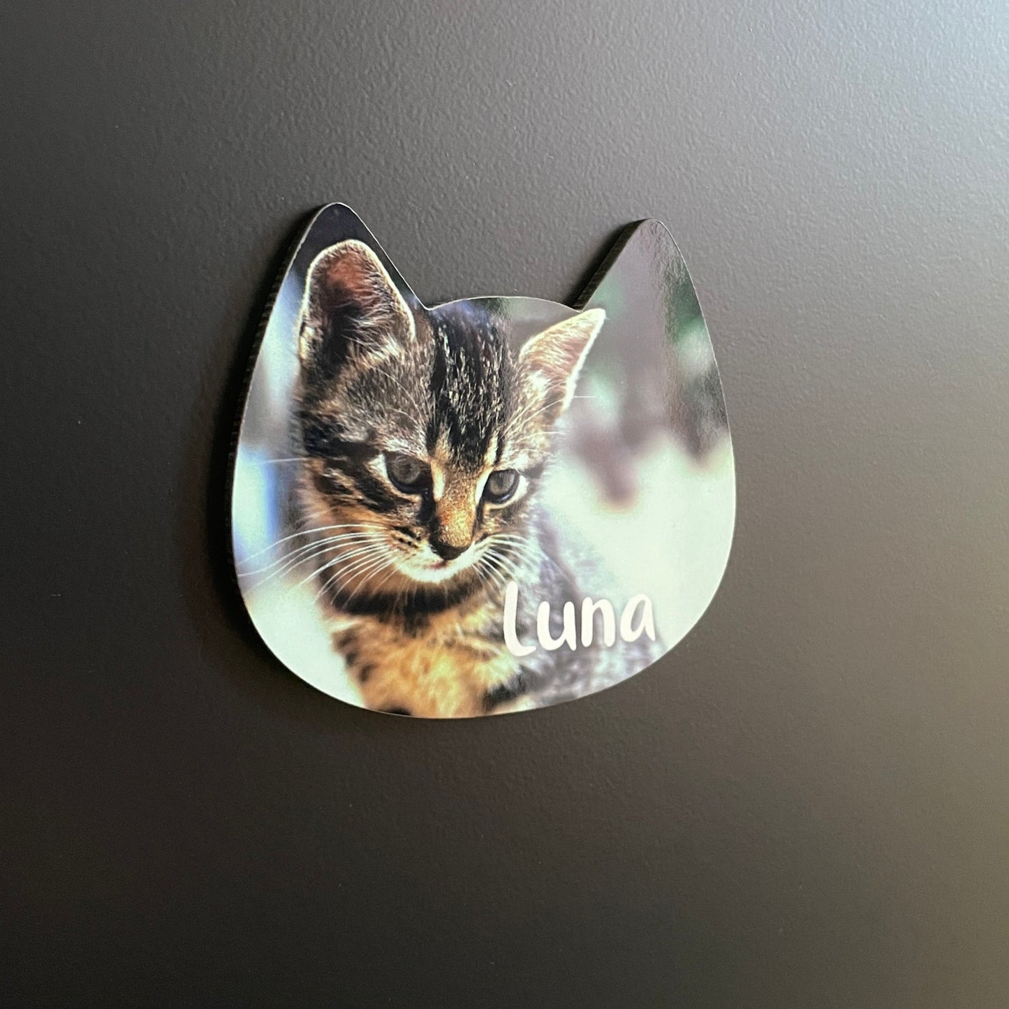 Íman MDF Personalizado com Foto - Gato